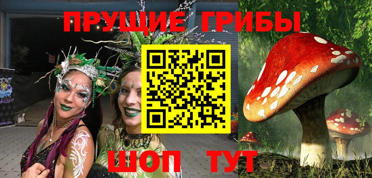 Вологда  Галлюциногенные грибы Psilocybe  наркота  Вход с VPN 