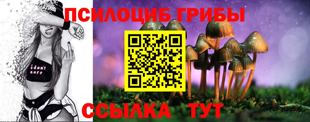 Галлюциногенные грибы Psilocybine cubensis Вологда
